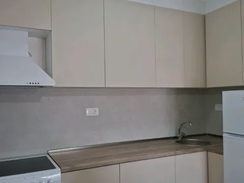 Rent, one bedroom apartment, 42m², Tuški Put, Podgorica - image 6