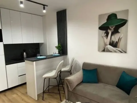 Sale, studio apartment, 26m², Dobra Voda, Budva - image 3