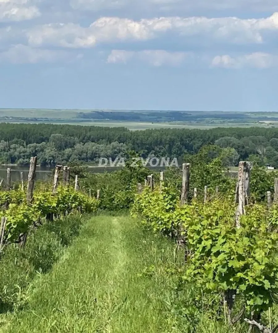 Prodaja, ugostiteljski objekat, 40m², Novi Slankamen, Inđija