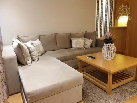 Rent, two bedroom apartment, 45m², Vračar Sve Podlokacije, Beograd - image 7