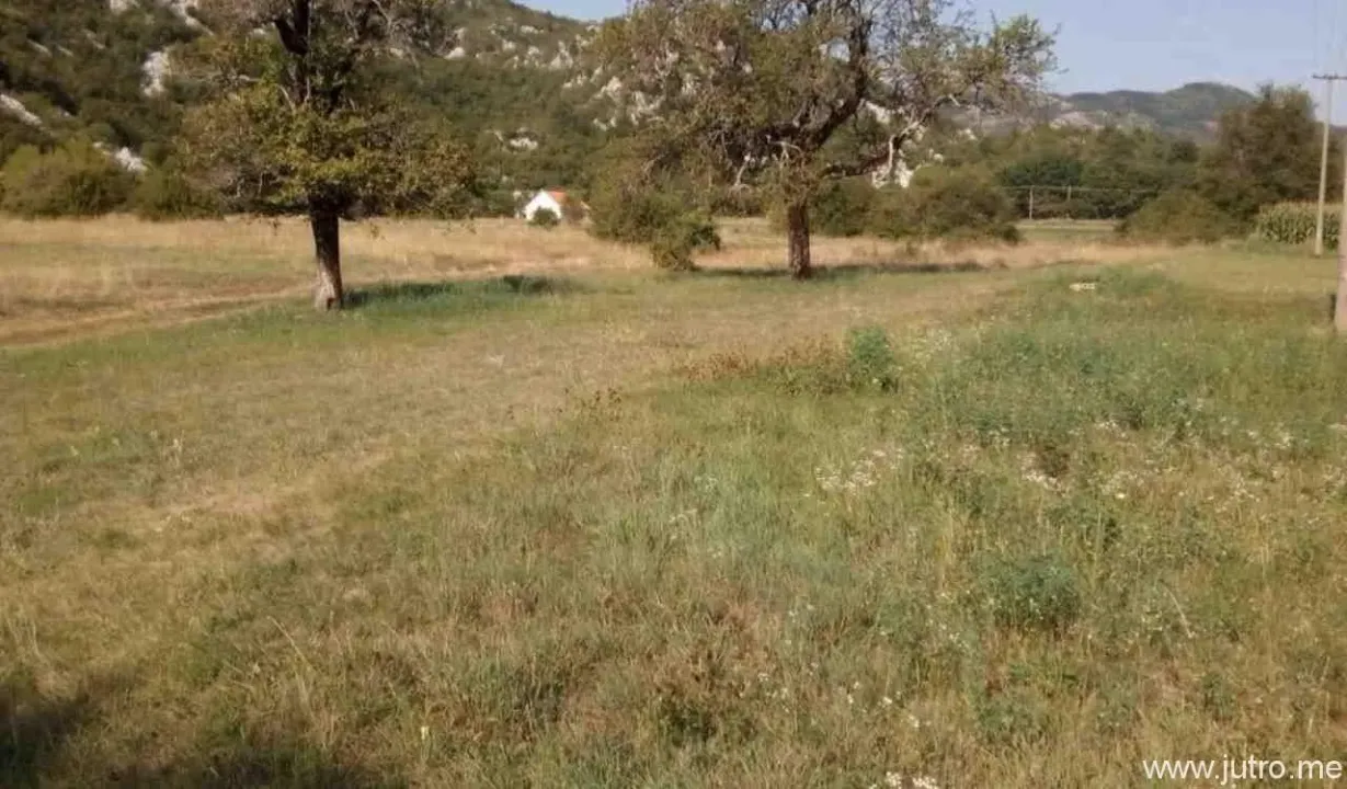 Sale, land lot, 8500m², Grahovo, Nikšić