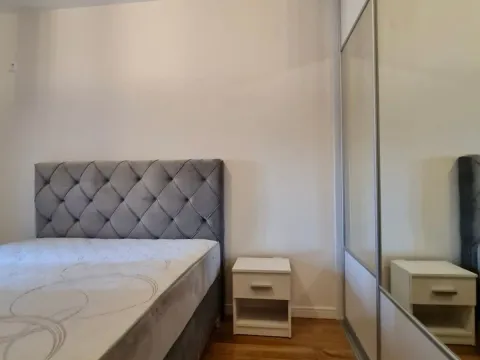 Izdavanje, jednosoban stan, 50m², Central Point, Podgorica - image 5