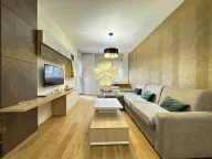 Izdavanje, jednosoban stan, 50m², Central Point, Podgorica - image 1