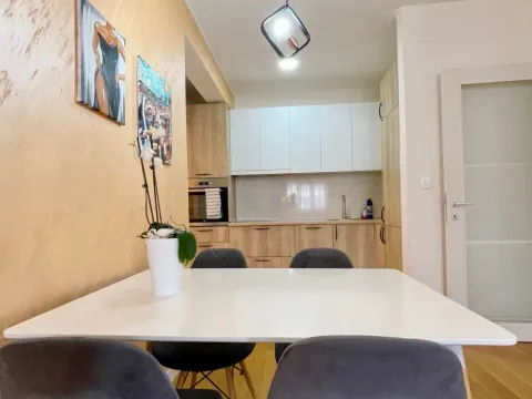 Izdavanje, jednosoban stan, 50m², Central Point, Podgorica - image 13