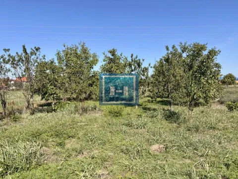 Prodaja, kuća, 77m², Kolonija, Jagodina - image 7