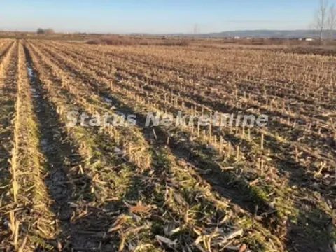 Prodaja, plac, 12100m², Futog, Novi Sad Sve Podlokacije - image 3