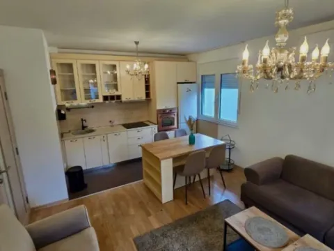 Izdavanje, jednosoban stan, 43m², Dalmatinska ulica, Podgorica - image 4