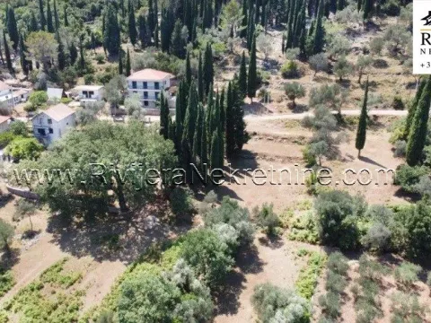 Prodaja, plac, 2391m², Žvinje, Herceg Novi - image 7