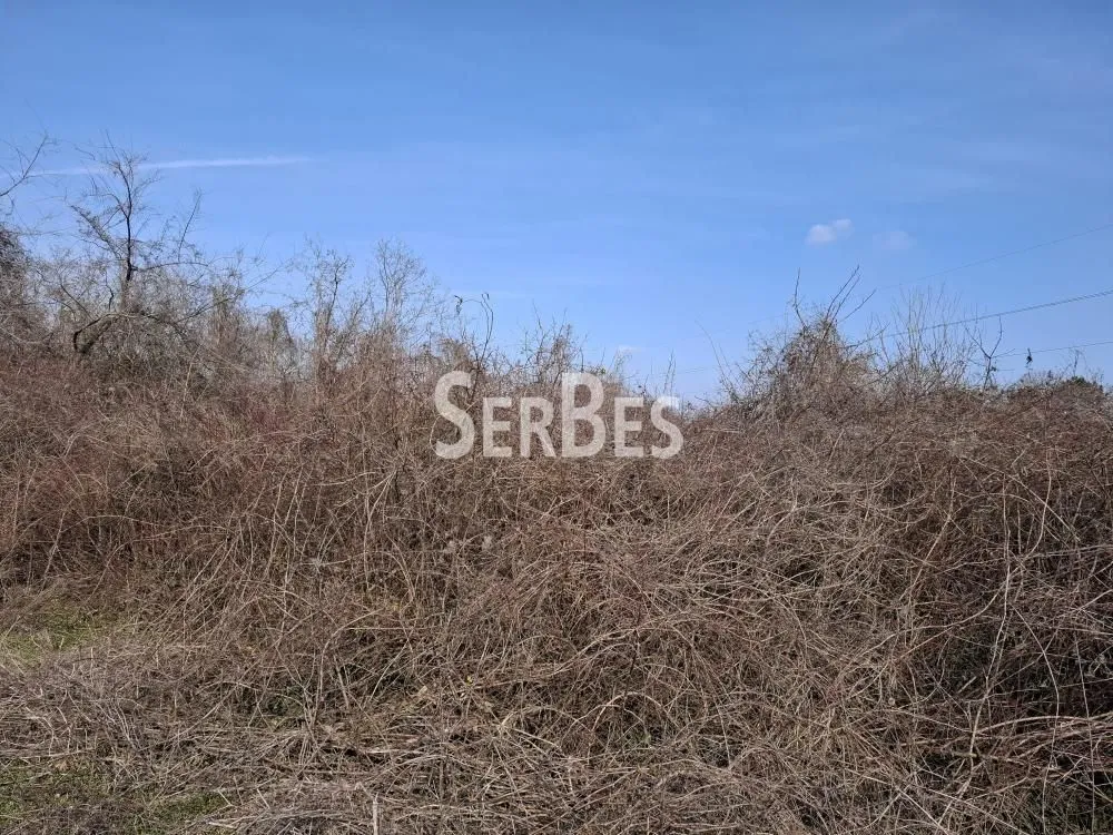 Prodaja, plac, 3251m², Trandžament, Petrovaradin