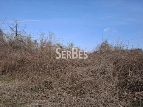 Sale, land lot, 3251m², Trandžament, Petrovaradin - image 5