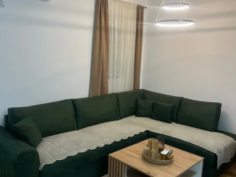 Izdavanje, jednosoban stan, 40m², Zabjelo, Podgorica - image 8