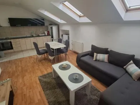 Izdavanje, jednosoban stan, 44m², Telep, Novi Sad Sve Podlokacije - image 4