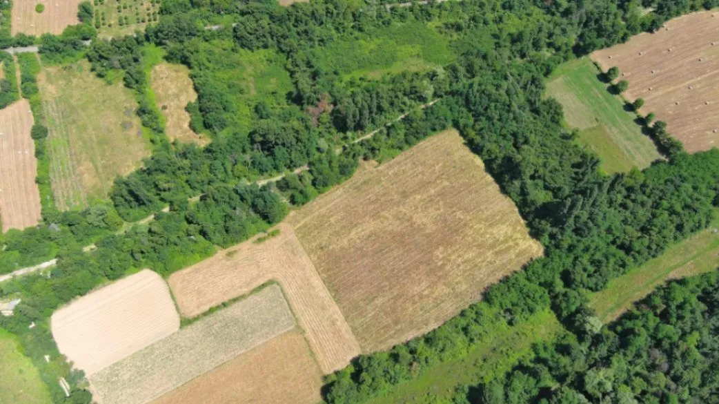 Prodaja, plac, 17000m², Zeta, Podgorica
