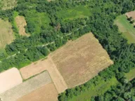 Sale, land lot, 17000m², Zeta, Podgorica - image 4