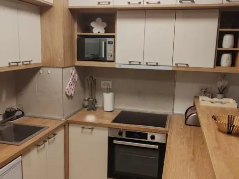 Izdavanje, dvosoban stan, 50m², Voždovac Sve Podlokacije, Beograd - image 2