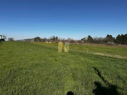 Sale, land lot, 2000m², Čortanovci, Inđija - image 5