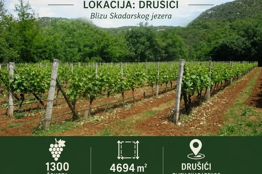 Prodaja, plac, 4694m², Drušići, Cetinje