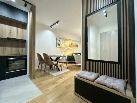 Izdavanje, jednosoban stan, 40m², Central Point, Podgorica - image 4