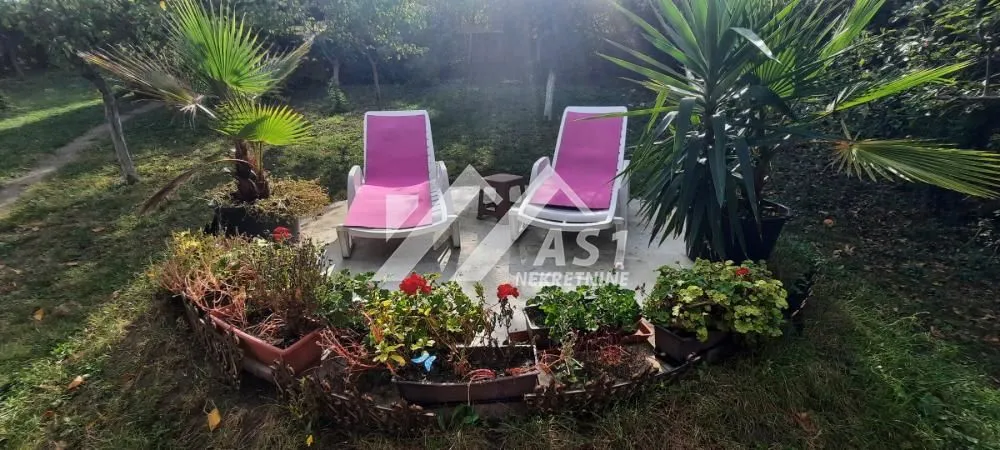 Uređeno dvorište sa ležaljkama za sunčanje i ukrasnim biljkama.
