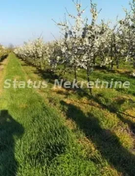Sale, land lot, 435m², Sremska Mitrovica, Srbija - image 4