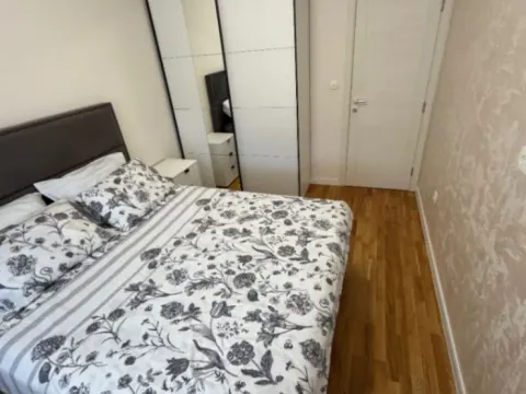 Izdavanje, jednosoban stan, 42m², Pobrežje, Podgorica - image 4