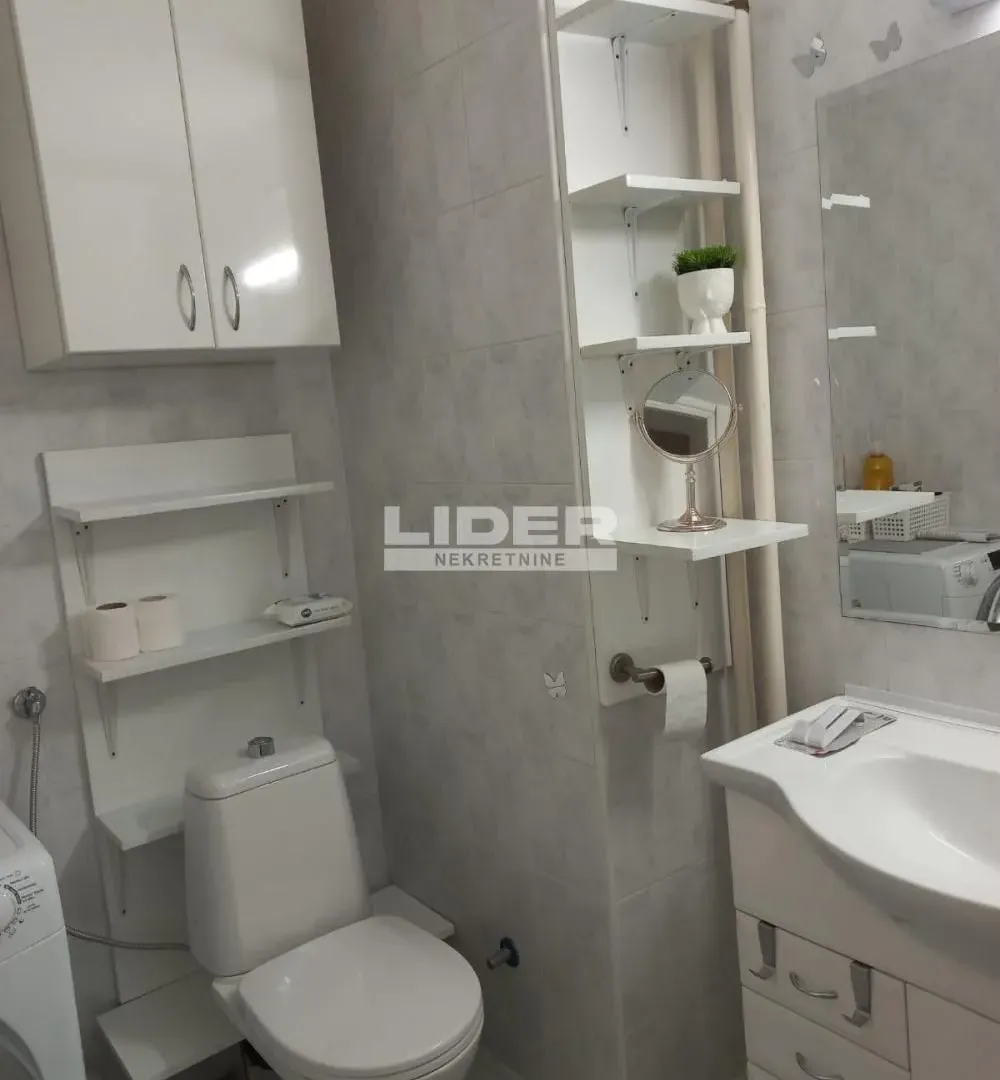 Izdavanje, dvosoban stan, 56m², Novi Beograd Blok 63, Novi Beograd Sve Podlokacije