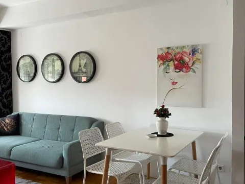 Izdavanje, jednosoban stan, 53m², Podgorica, Crna Gora - image 4