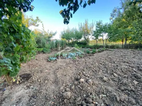 Prodaja, plac, 519m², Vučak, Smederevo - image 12