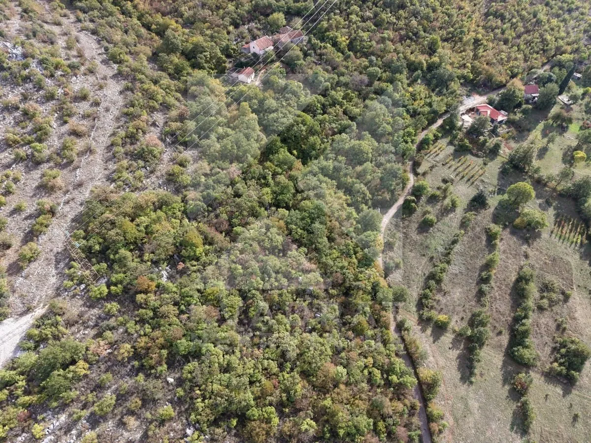 Prodaja, plac, 11798m², Pričelje, Podgorica