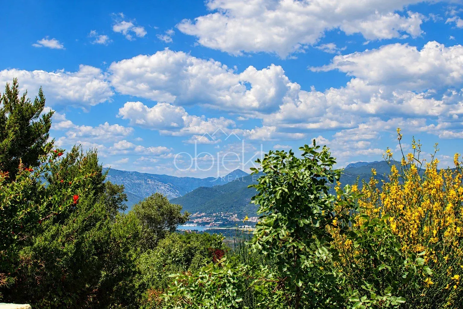 Pogled na planine i prirodu okruženu bujnim rastinjem.