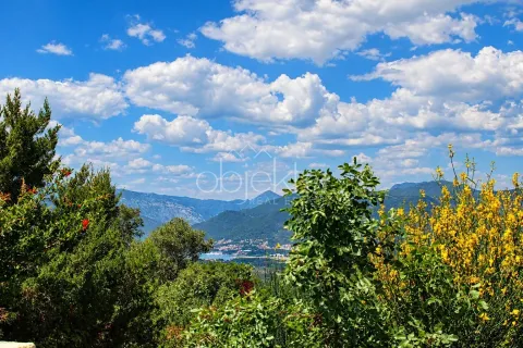 Pogled na planine i prirodu okruženu bujnim rastinjem. - image 8