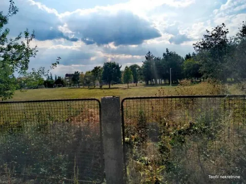 Pogled na zelenu površinu i drveće kroz ogradu dvorišta. - image 19