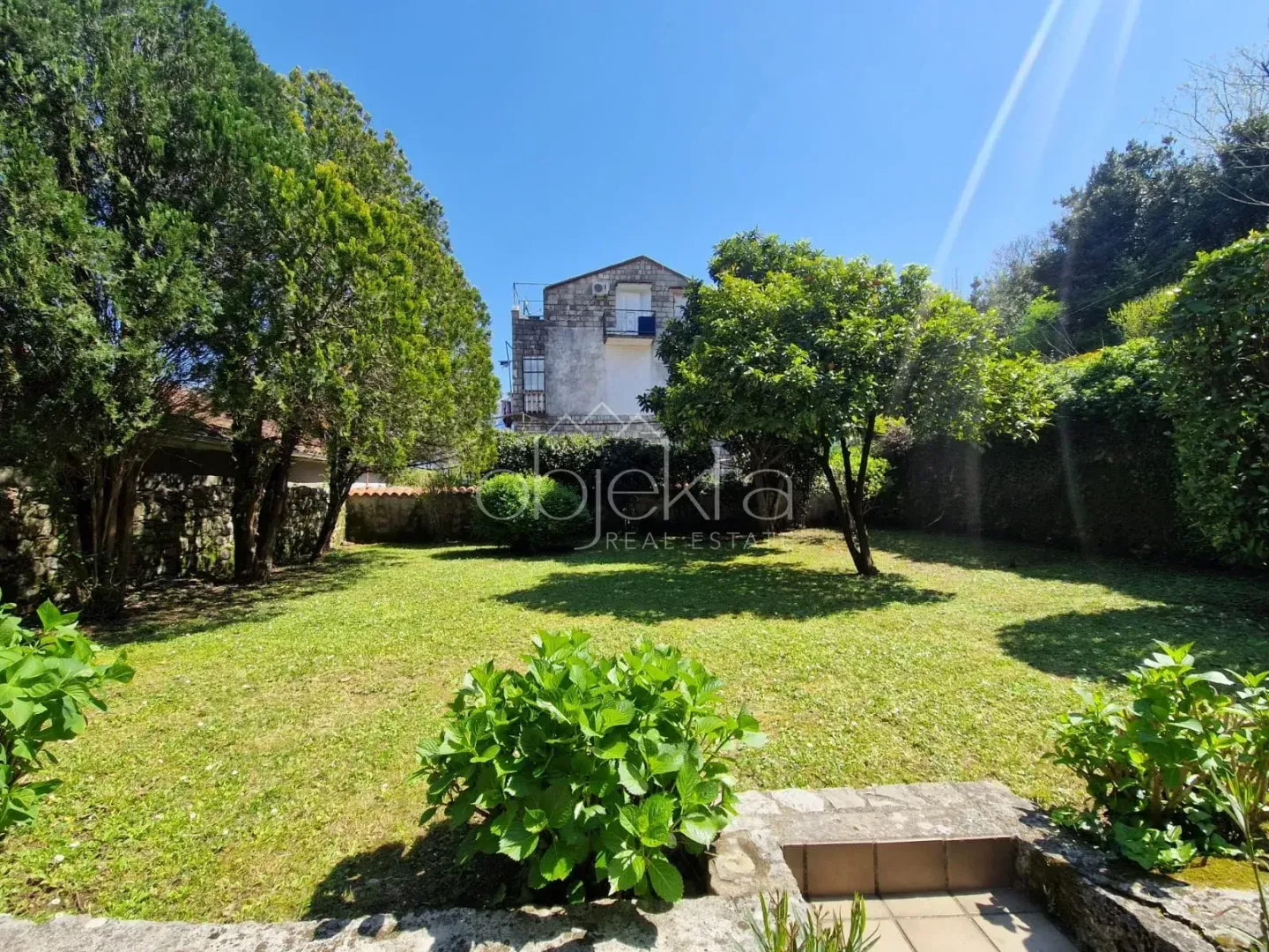 Green yard with lawn and trees in front of the house.