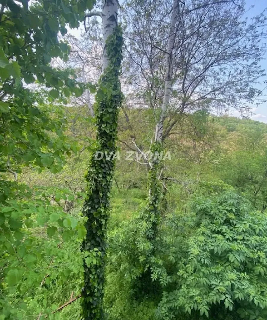 Prodaja, kuća, 113m², Petrovaradin, Novi Sad