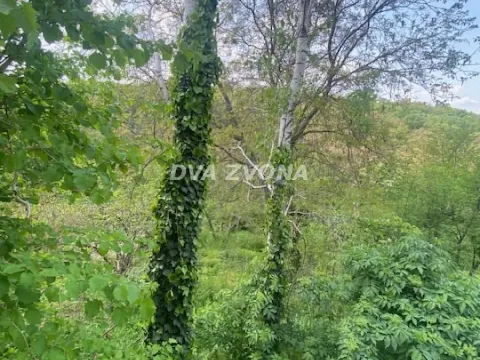 Prodaja, kuća, 113m², Petrovaradin, Novi Sad - image 19