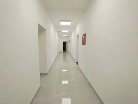 Izdavanje, poslovni prostor, 886m², Apelovac, Niš - image 16