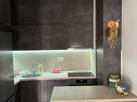 Rent, one bedroom apartment, 44m², City Kej, Podgorica - image 11