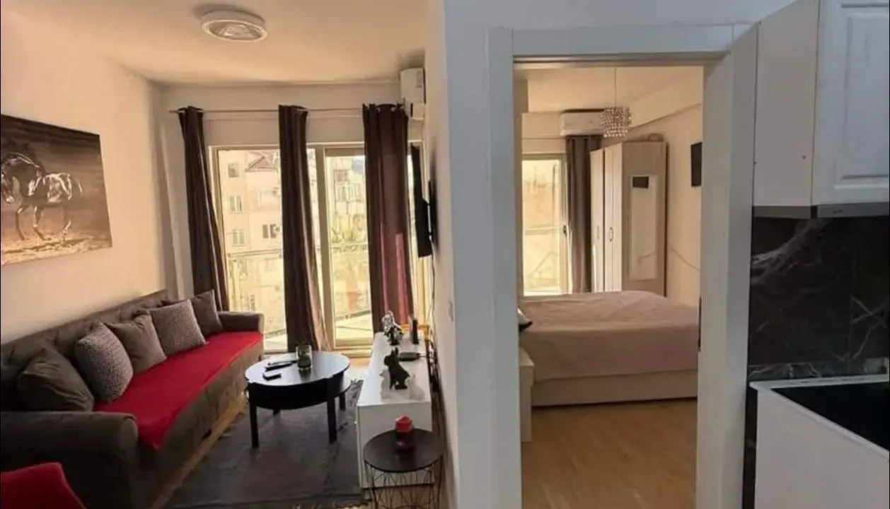 Rent, one bedroom apartment, 47m², Velji Vinogradi, Budva