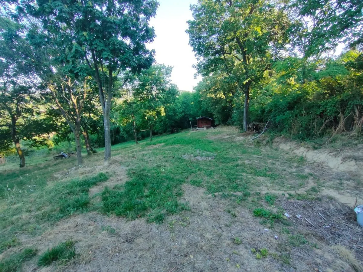 Prodaja, plac, 1900m², Sremska Kamenica, Petrovaradin