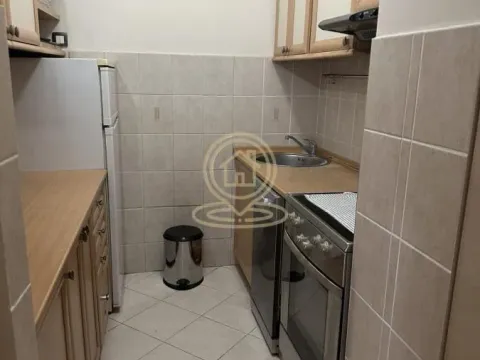Rent, two bedroom apartment, 45m², Novi Beograd Blok 22, Novi Beograd Sve Podlokacije - image 8