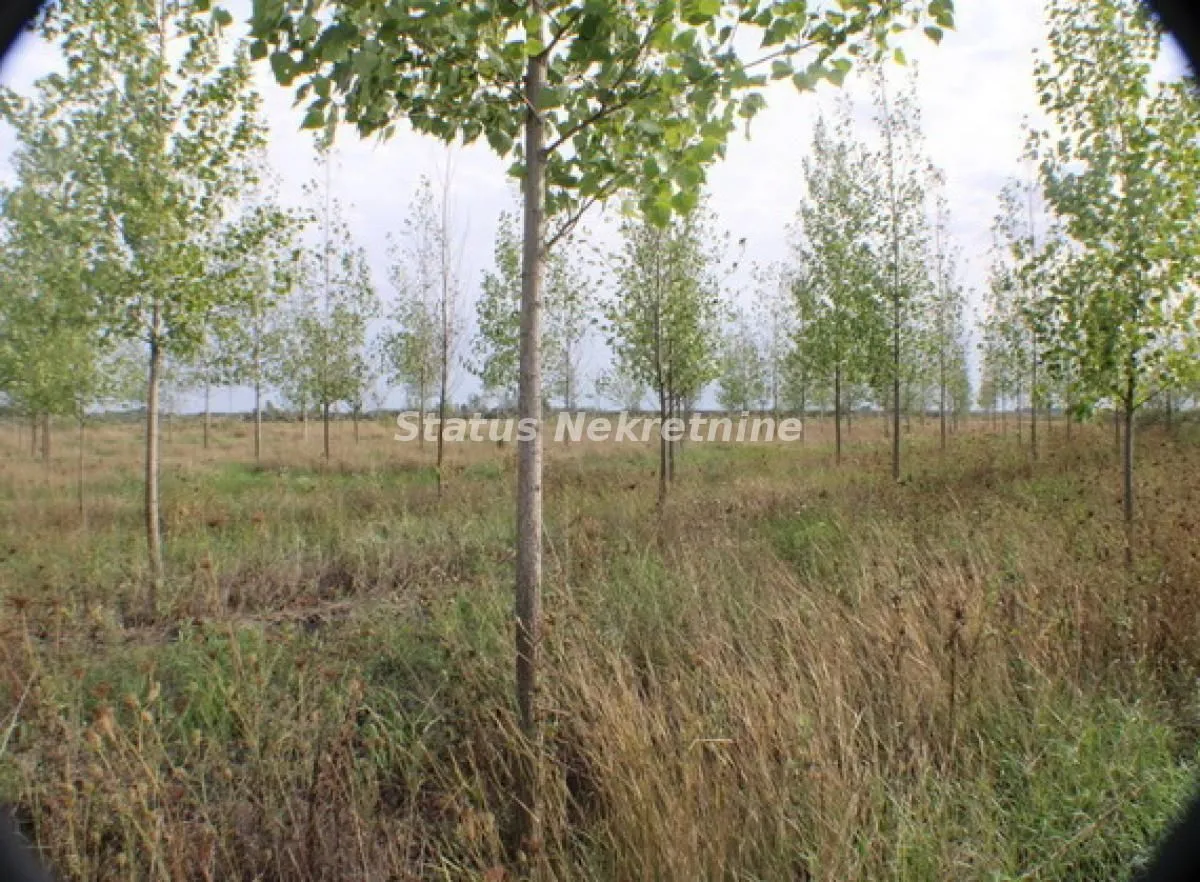 Prodaja, plac, 1378m², Zrenjanin, Srbija