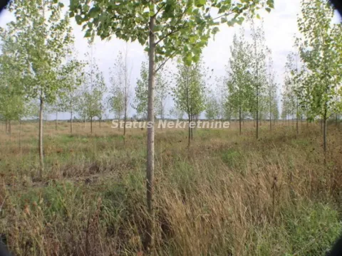 Prodaja, plac, 1378m², Zrenjanin, Srbija - image 31