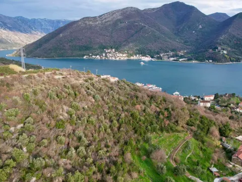 Prodaja, plac, 750m², Herceg Novi, Crna Gora - image 7