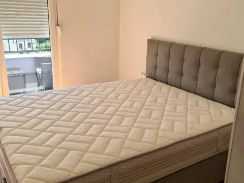 Izdavanje, jednosoban stan, 43m², Zabjelo, Podgorica - image 1