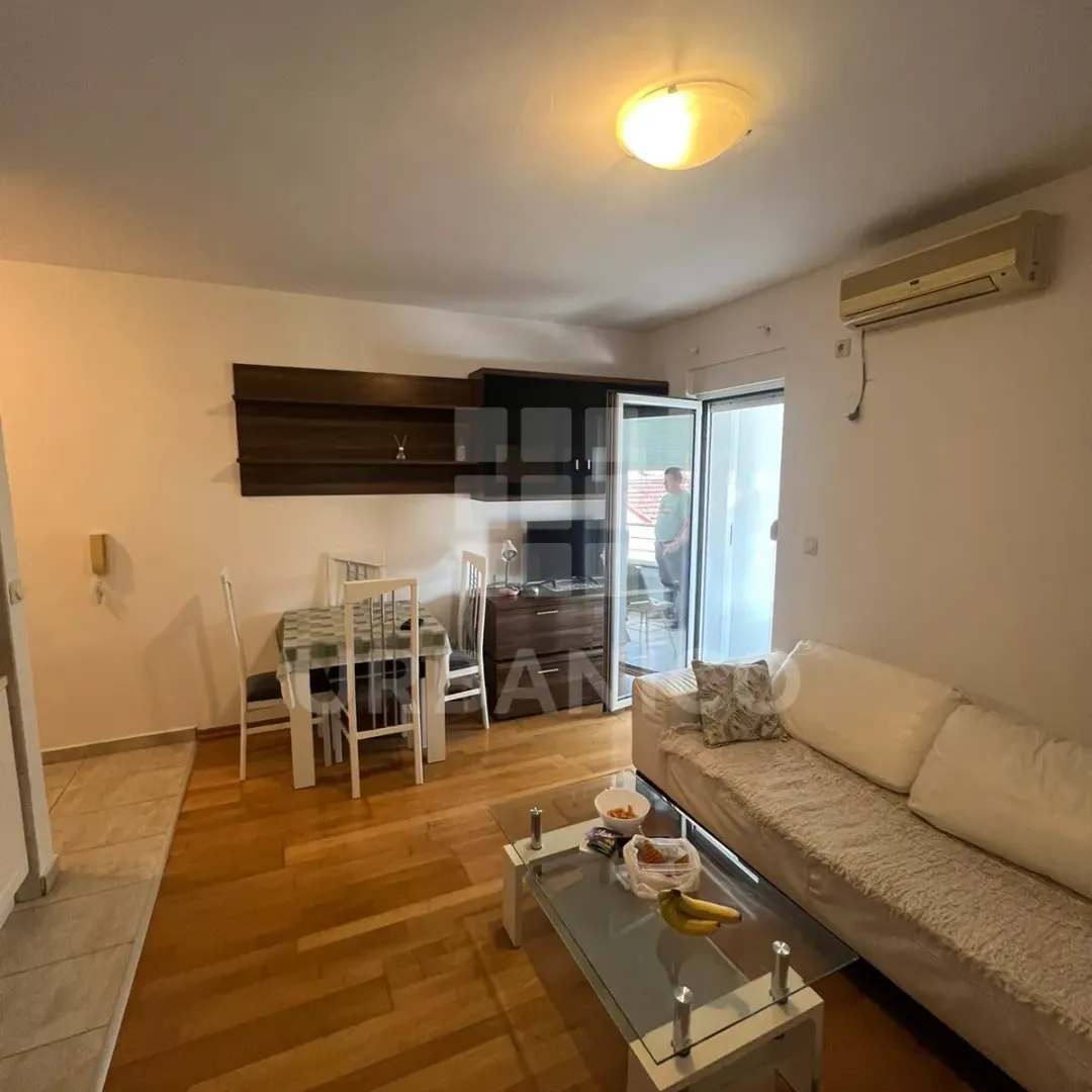Rent, one bedroom apartment, 42m², Ljubović, Podgorica
