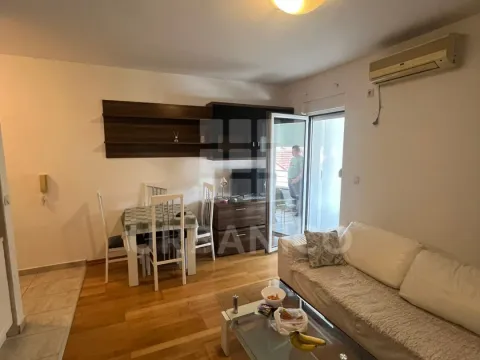 Rent, one bedroom apartment, 42m², Ljubović, Podgorica - image 2