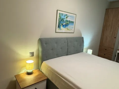 Rent, two bedroom apartment, 47m², Novi Beograd Blok 65, Novi Beograd Sve Podlokacije - image 13