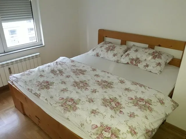 Izdavanje, dvosoban stan, 60m², Lion, Zvezdara Sve Podlokacije