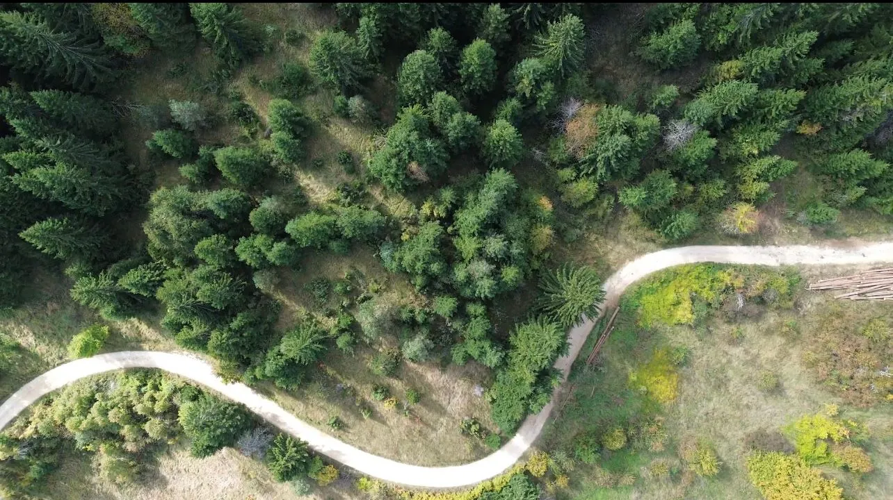 Prodaja, plac, 46000m², Pljevlja, Crna Gora