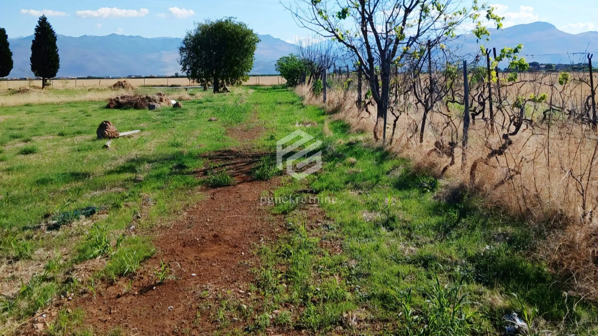 Prodaja, plac, 1589m², Kuće Rakića, Podgorica